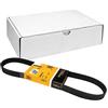 Contitech 6 PK 875 Cinghie Trapezoidale