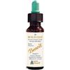 Benoit Fiori Di Bach Benoit Wild Oat 10 Ml ml Gocce orali