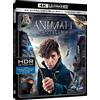 Animali Fantastici E Dove Trovarli (4K Ultra-HD + Blu-Ray + Dig (4K UHD Blu-ray)