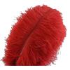 Sowder Piume di struzzo Sowder, 10 pezzi, 30-35 cm, decorazioni di nozze o per la casa Red