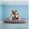 Cuccia per cani e gatti in rilassante Memory foam forato antisoffocamento. PET MEMORY 70x90 cm - Cuccie