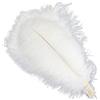 Sowder - Piume di struzzo di lunghezza 40-45 cm, confezione da 5 pezzi, ideali come decorazione per la casa o per matrimoni bianco