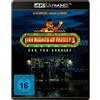 Universal Pictures (PLAION PICTURES) Five Nights at Freddy's (4K Ultra HD)