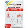 Vegetallumina® Cerotto Riscaldante 19,2 x 13 cm 1 pz Bendaggio/i