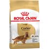 Royal Canin Breed Royal Canin Cocker Adult Crocchette per cane - 3 kg