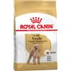 Royal Canin Breed Royal Canin Barboncino (Poodle) Adult Crocchette per cane - 1,5 kg