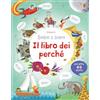 Usborne Il libro dei perché. Ediz. illustrata