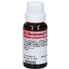 Dr.reckeweg & CO. DR.RECKEWEG R74 Gocce 22 ml