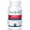 ERBA VITA GROUP SPA BOSWELLIA Serrata 60 Capsule 450 mg ErbaVita