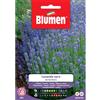 Blumen lavanda vera da bordura