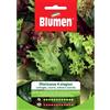 Blumen misticanza quattro stagioni