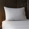 DaunenStep Coppia di federe proteggi cuscino impermeabili Care Protect - Vivawhite