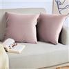 Blumtal Set di 2 Federe Cuscini Divano 30x50 cm in Velluto, con Chiusura Lampo Invisibile, Eleganti Copricuscini Divano in Morbido Velluto,Taglia 30 x 50, Sambuco