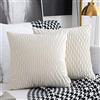 Sunia Fodera per Cuscino di tiro Set di 2 Federe per Cuscino 40x40cm Quadrata Decorativa Fodere per Cuscini Moderne in Velluto per Divano Letto Divano Sedia Camera da Letto Soggiorno Copricuscini