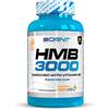 Scenit Redefining your Body HMB 3000-3000 mg di HMB integratore capsule con Vitamina B6 - HMB capsule - HMB Pure - Supplemento HMB - 120 capsule vegane