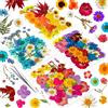 YoothBro 191 Pezzi Di Fiori Pressati Secchi Veri Naturali Per Stampi in Resina, Set Di Adesivi Trasparenti per Pressatura a Secco Floreale con Farfalla per Creazione Di Gioielli Fai Da Te Blossom