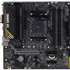 ‎Asus ASUS AMD A520 (Ryzen AM4) micro ATX gaming motherboard with M.2 support, Display