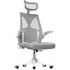 VA-Cerulean Sedia da ufficio, ergonomica, con poggiatesta regolabile e supporto lombare, braccioli pieghevoli, ruote a 360°, sedia girevole regolabile in altezza (tipo A, grigio)