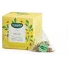 Neavita FILTROSCRIGNO START-UP DETOX
