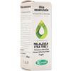 SANGALLI Srl MELALEUCA OLIO ESSENZIALE 10ML