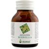 ARCANGEA Srl BOSWELLIA 60CPS
