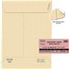 PIGNA 250 buste sacco MULTI STRIP LARGE avana carta ric. 230x330x40mm 100gr Pigna Enve