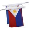 AZ FLAG Ghirlanda 6 Metri 20 Bandiere Filippine 21x15cm, Bandiera Filippina 15 x 21 cm - Festone Bandierine