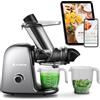 AAOBOSI Estrattore frutta e verdura CE-ZM-1520B-GA con controllo della velocità a 2 stadi-estrattore di succo con coclea a 8 stadi-centrifuga frutta e verdura con spazzola di pulizia e 2 tazze.