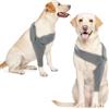 Katzinst Recovery Sleeve Cane, Ginocchiera Cane Posteriore Gamba Del Cane, Elasticità Gomito Anteriore Destro Sinistra Gamba per Ferite, Bende, Anti Leccare Cane, Grigio L