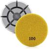 HOMESOM 3 dischi abrasivi diamantati da 7,6 cm, per uso a secco e bagnato, per pavimenti in marmo e granito (grana 100)