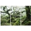 the art group Art Group The Wistman's Wood, Dartmoor David Clapp, Stampe da Parete su Tela, Multicolore, 10 x 150 x 1,3 cm