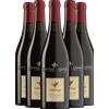 6 Bottiglie Lambrusco Amabile Codarossa Albinea Canali - Vini