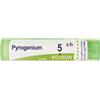 Boiron Pyrogenium 5ch Granuli 4g