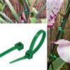 GARDENIX Fascette per piante, 100 pezzi (3,6 mm x 100 mm, verde) riutilizzabili, regolabili