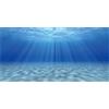 MIRRORANG 61x30cm Sottomarino Tema Acquario Sfondo Sole Subacqueo Mondo Acquario Decorazione Sfondo Vinile Sfondo