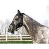EKKIA Maschera anti-mosche per cavallo, leggera, a frange