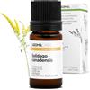 Aroma Labs Verga d'Oro BIO (Solidago canadensis) - 5 mL - Olio Essenziale Chemiotipizzato e Certificato AB/Cosmos - Aroma Labs - Made in France