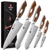 XINZUO 5 Pezzi Set di Coltelli da Cucina 110 Strati Acciaio Damasco, Professionale Set di Coltello da Cuoco, Manico in Legno di Ferro del Deserto del Nord America, Per Carne, Verdura, Frutta, Pane