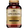 SOLGAR IT. MULTINUTRIENT SpA LIPO COLINA 100 CAPSULE VEGETALI