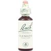 SCHWABE Bach Clematis 30ml