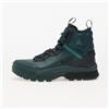 Nike Sneakers Nike ACG Air Zoom Gaiadome GORE-TEX Vintage Green/ Bicoastal-Vintage Green EUR 44