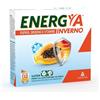 ANGELINI (A.C.R.A.F.) SpA Energya Inverno 14 Bustine - Integratore per il Benessere durante l'Inverno