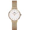 Daniel Wellington Petite Orologi 24mm Double Plated Stainless Steel (316L) Rose Gold