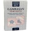GAMBASAN GINOCCHIERA THERAPIC K2 MODELLO 2