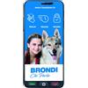 Brondi Smartphone 5,7 AMICO SMARTPHONE S+ 8GB 4G Lte Nero