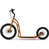 Yedoo Monopattino Yedoo Steel S2016 Disc Orange