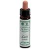 SANTIVERI Sa AINSWORTHS LARCH 10ML