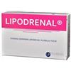 UP PHARMA Srl LIPODRENAL 60CPR