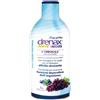 PALADIN PHARMA SpA DRENAX FORTE L'ORIGINALE CON UVA E MIRTILLO 500 ML