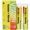 vitadyn Phyto Garda Vitadyn Multiminerale Multivitaminico Integratore 40 Compresse Effervescenti